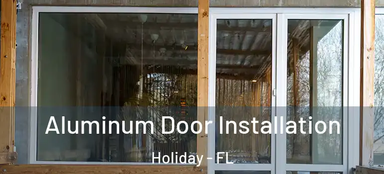  Aluminum Door Installation Holiday - FL