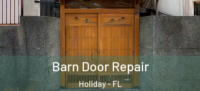  Barn Door Repair Holiday - FL