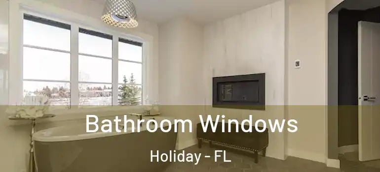  Bathroom Windows Holiday - FL