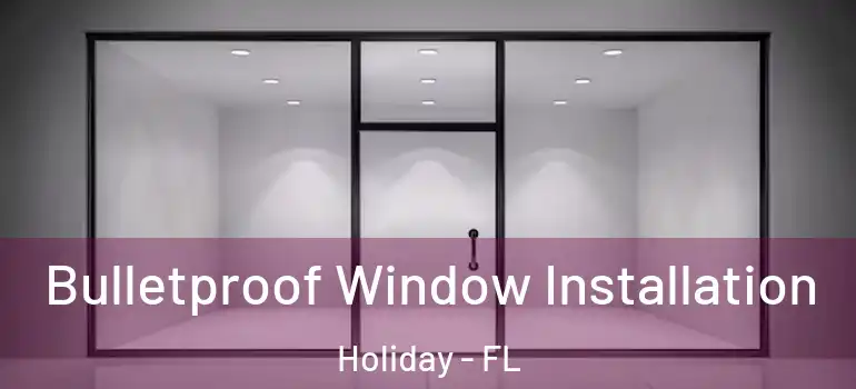  Bulletproof Window Installation Holiday - FL