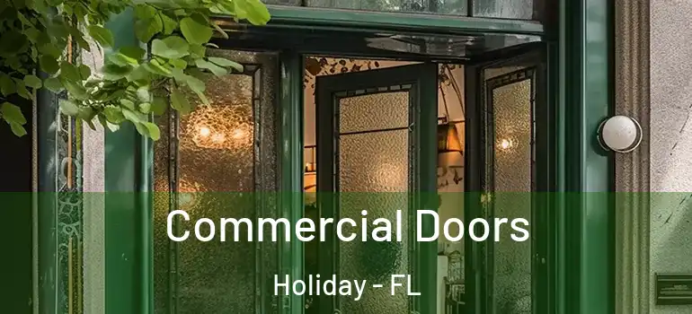  Commercial Doors Holiday - FL