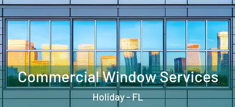  Commercial Window Services Holiday - FL