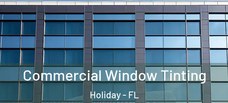  Commercial Window Tinting Holiday - FL