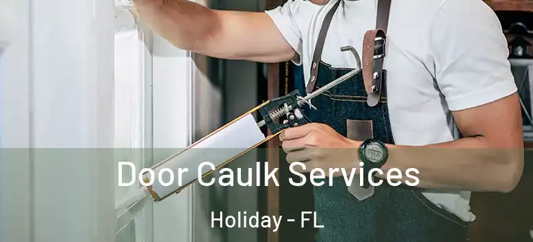  Door Caulk Services Holiday - FL