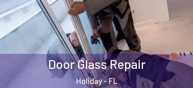  Door Glass Repair Holiday - FL
