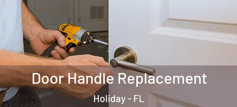  Door Handle Replacement Holiday - FL