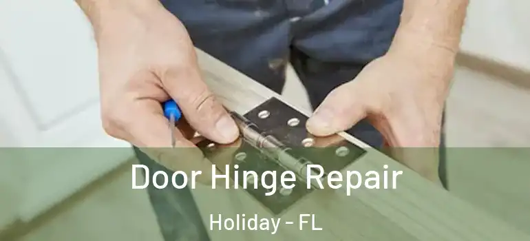  Door Hinge Repair Holiday - FL