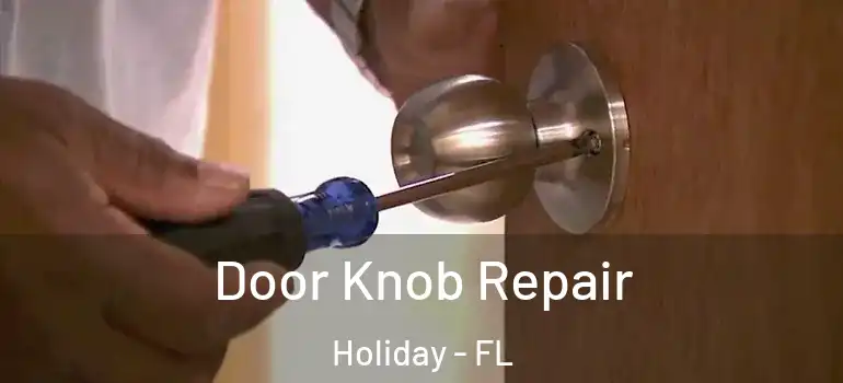  Door Knob Repair Holiday - FL