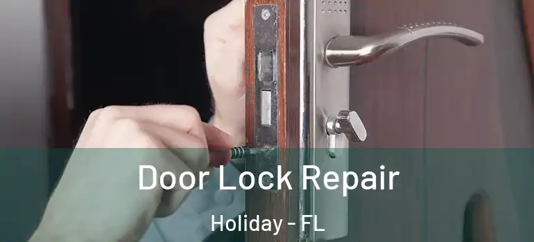  Door Lock Repair Holiday - FL