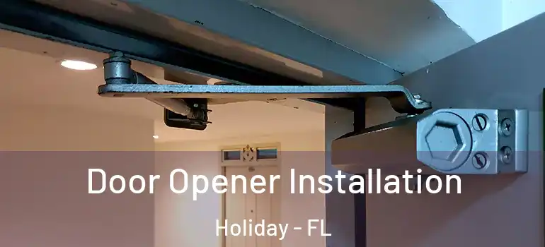  Door Opener Installation Holiday - FL