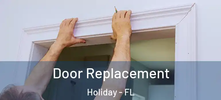  Door Replacement Holiday - FL