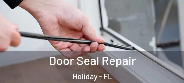  Door Seal Repair Holiday - FL