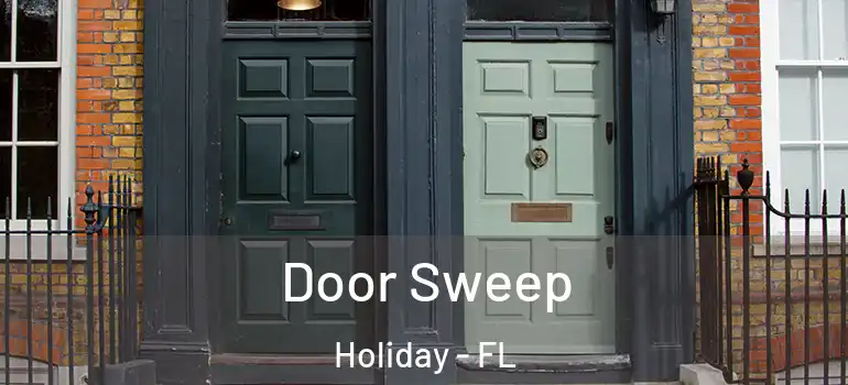  Door Sweep Holiday - FL