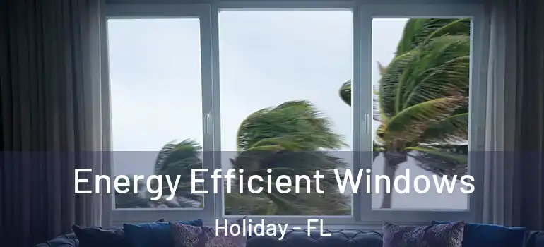  Energy Efficient Windows Holiday - FL