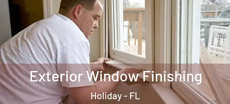  Exterior Window Finishing Holiday - FL