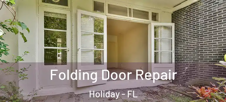  Folding Door Repair Holiday - FL