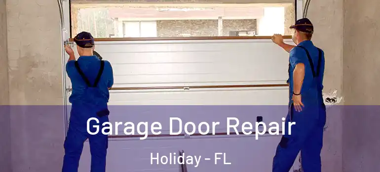  Garage Door Repair Holiday - FL