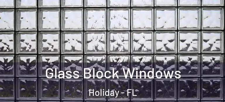 Glass Block Windows Holiday - FL