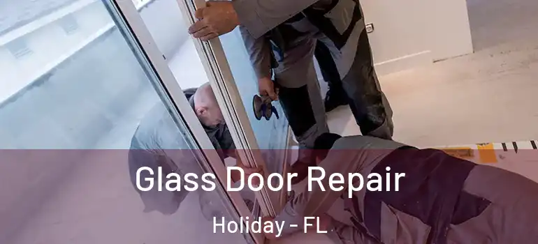  Glass Door Repair Holiday - FL