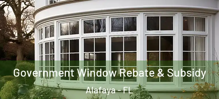  Government Window Rebate & Subsidy Alafaya - FL