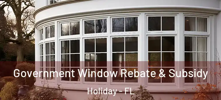  Government Window Rebate & Subsidy Holiday - FL