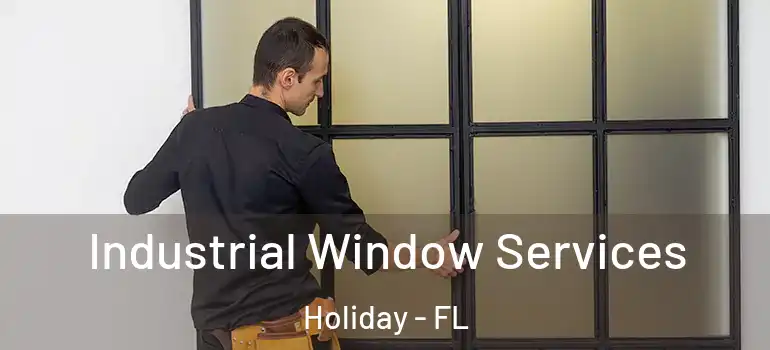  Industrial Window Services Holiday - FL