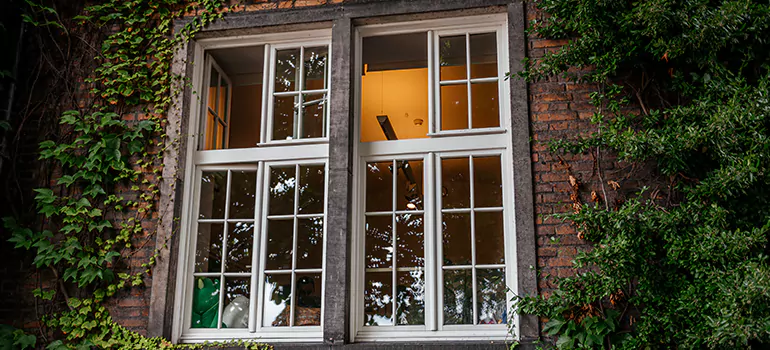 Energy Efficient Wood Windows in Holiday, FL