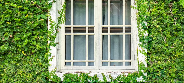 Garden Window Repair Near Me in Holiday, FL