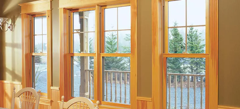 Government Incentives For Replacement Windows in Holiday, FL