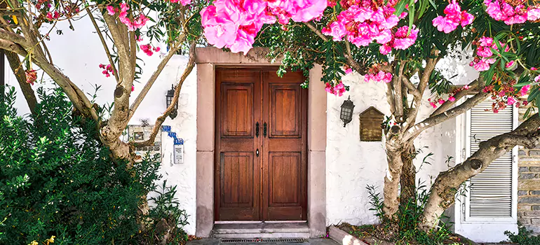 Traditional 4 Panel Internal Doors in Holiday, FL