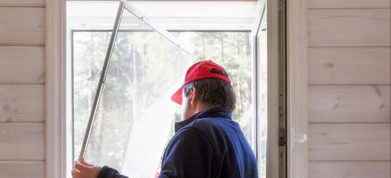 Expandable Window Screen Installation in Holiday, FL