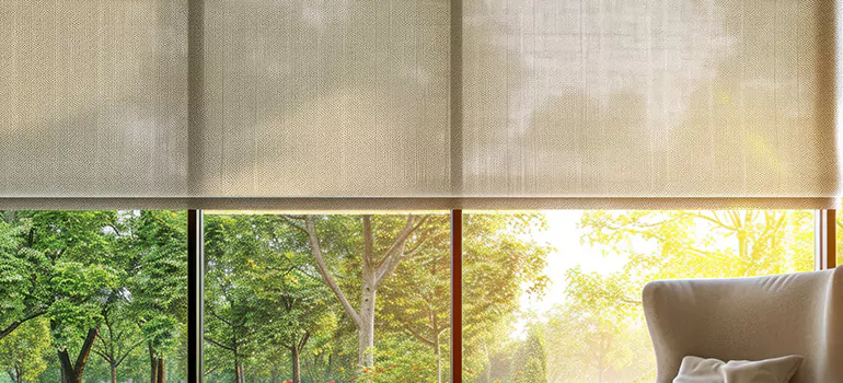 Custom Window Shades in Holiday, FL
