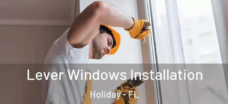  Lever Windows Installation Holiday - FL