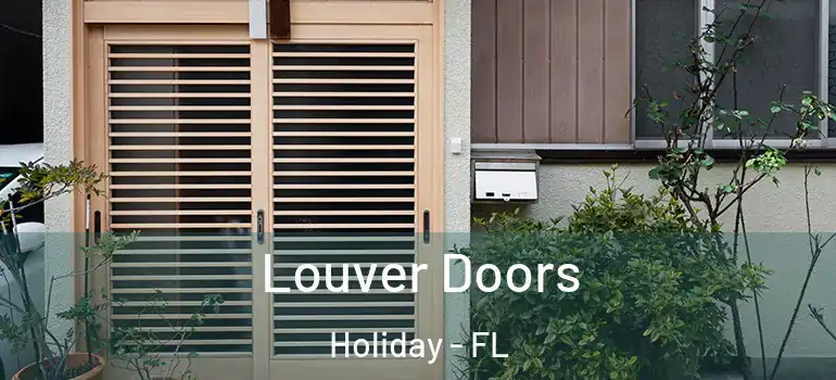  Louver Doors Holiday - FL