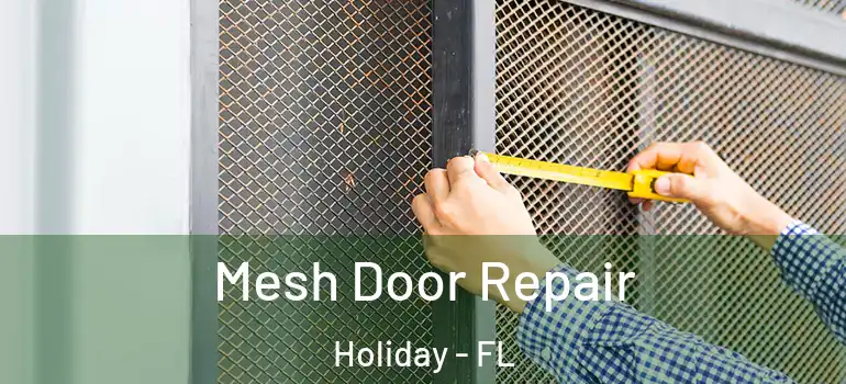  Mesh Door Repair Holiday - FL