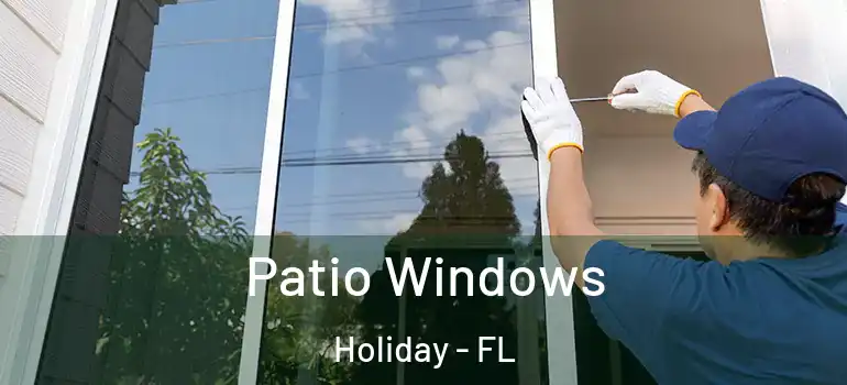  Patio Windows Holiday - FL