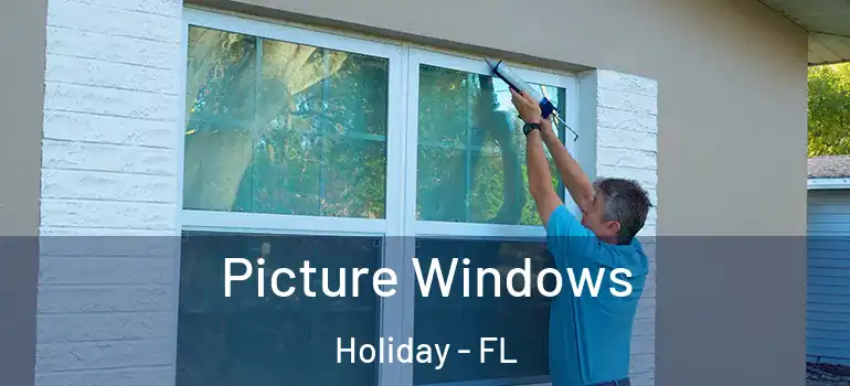  Picture Windows Holiday - FL