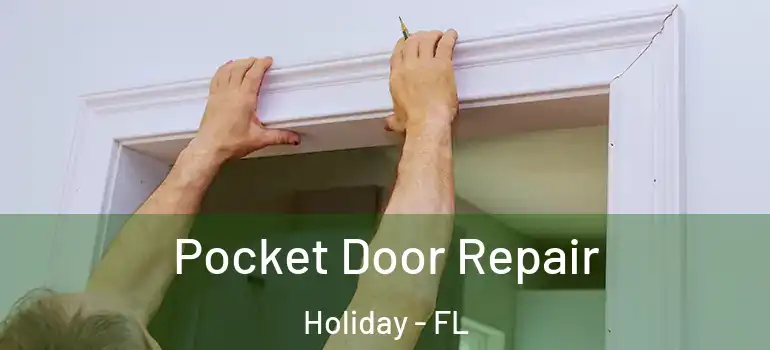  Pocket Door Repair Holiday - FL