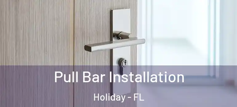  Pull Bar Installation Holiday - FL