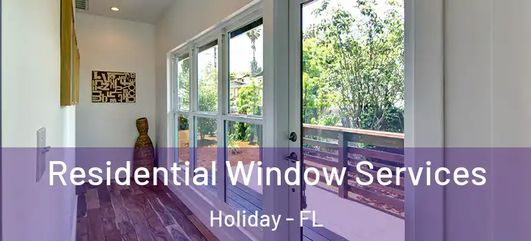  Residential Window Services Holiday - FL