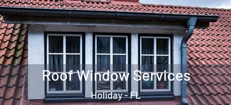  Roof Window Services Holiday - FL