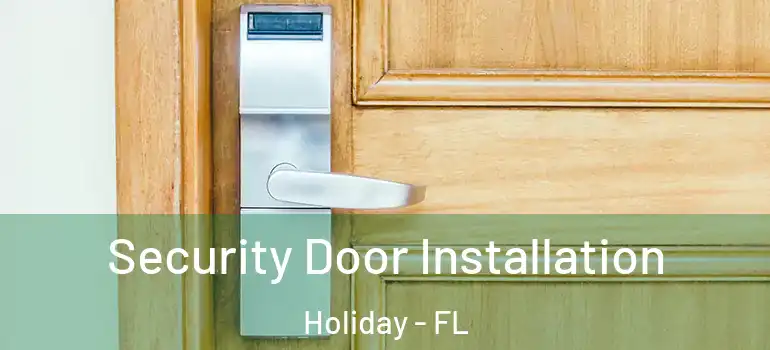  Security Door Installation Holiday - FL