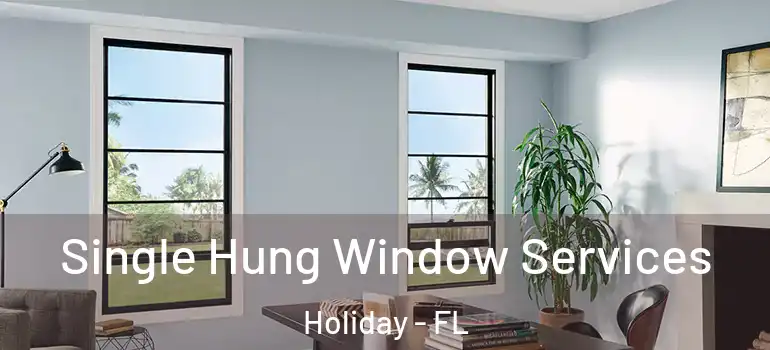 Single Hung Window Services Holiday - FL