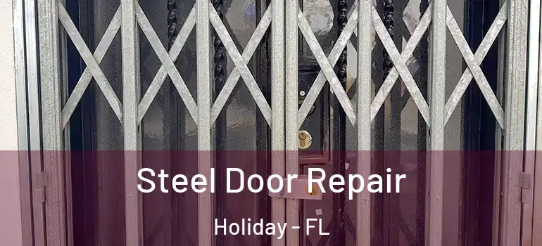  Steel Door Repair Holiday - FL