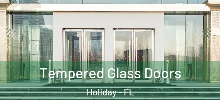  Tempered Glass Doors Holiday - FL