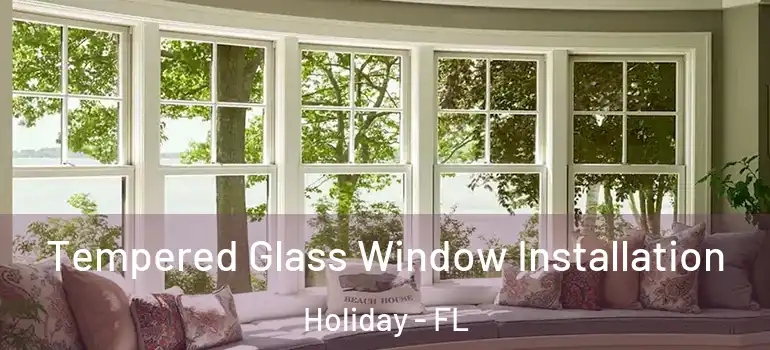  Tempered Glass Window Installation Holiday - FL