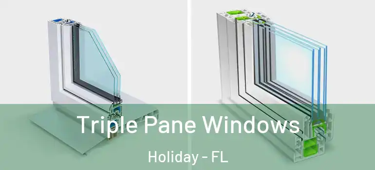  Triple Pane Windows Holiday - FL