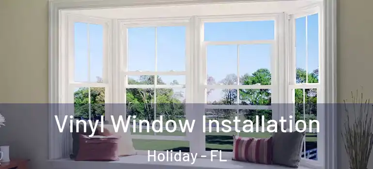  Vinyl Window Installation Holiday - FL