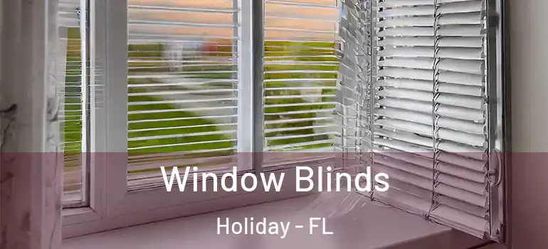  Window Blinds Holiday - FL
