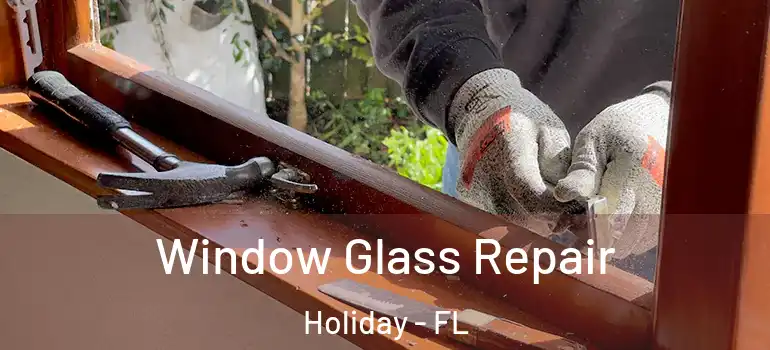  Window Glass Repair Holiday - FL